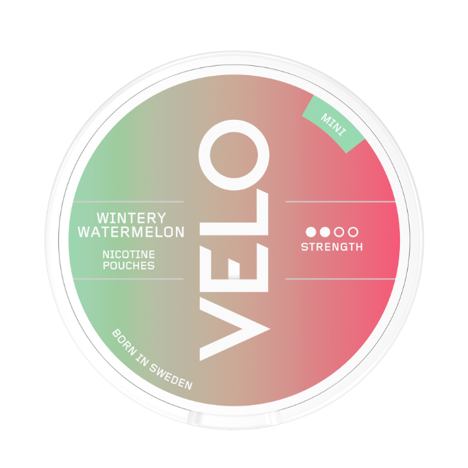 Velo Wintery Watermelon MINI