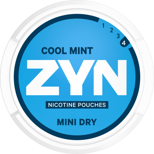 ZYN Cool Mint Mini Dry Strong